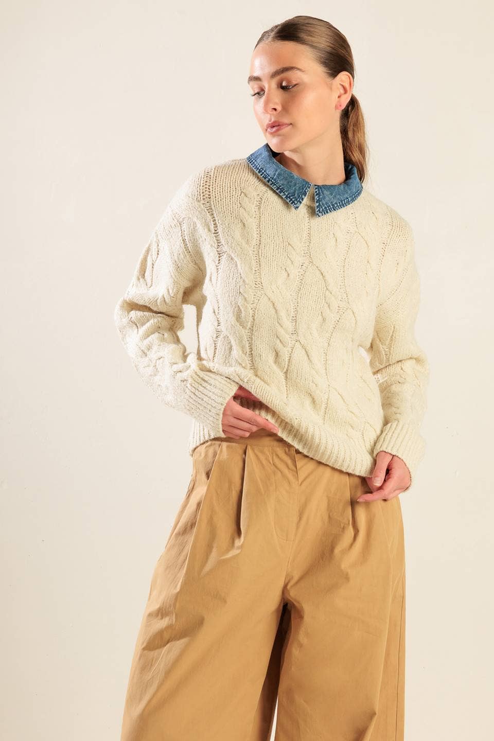 A sweater pullover - FSW1176-D